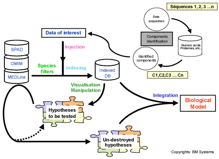 decision model